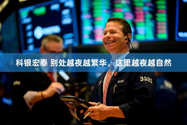 科银宏泰 别处越夜越繁华，这里越夜越自然