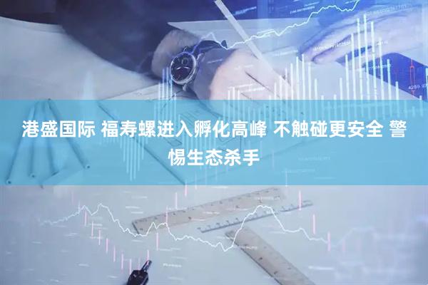 港盛国际 福寿螺进入孵化高峰 不触碰更安全 警惕生态杀手